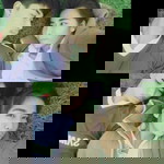 นวรัตน์ เพ็ชร์ประเสริฐ profile icon