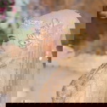 Indah Lestari profile icon