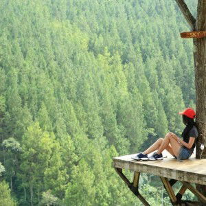 Chen Florencia Adrienne profile icon