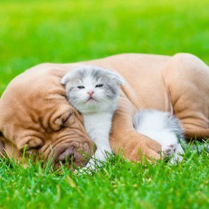 อะไรวะอั๋น ดาวเหนือ profile icon