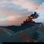 Sunantha Triyawong profile icon