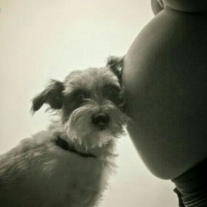 kalista profile icon