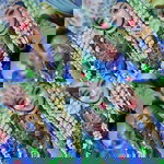 Nur Hafifah profile icon