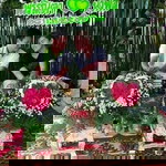 ปิ่น แก้ว profile icon