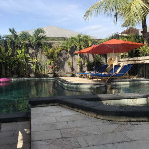 Arrum yahya profile icon