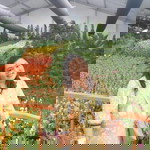 Sunee Nanny Klomtong profile icon