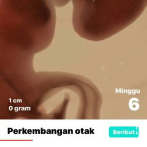 mami payma profile icon