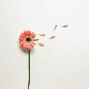 Ratna Gunawan profile icon