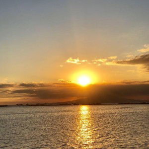 Shirley Regine profile icon