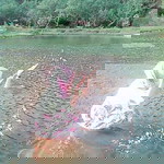 fita mulia profile icon