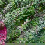 Isma Huda profile icon