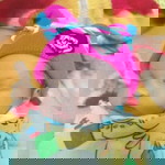 Ayu Lestary profile icon