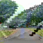 Marintan Liantina profile icon