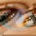 Uchiex Slengean profile icon