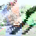 Ayu Novita Sari profile icon