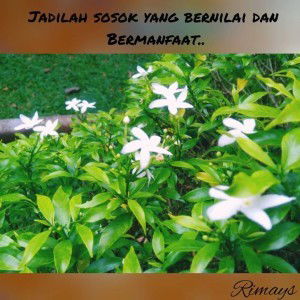 Rindi Hambali profile icon