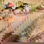 Eye Demons profile icon