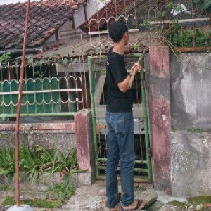 ampelor rolepma profile icon