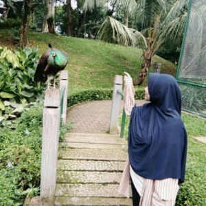 Ayu Mita profile icon