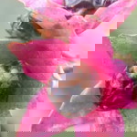 Puspa Rahayu profile icon