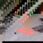 Googleridha A profile icon