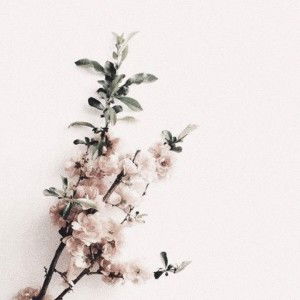 Citra Oktavia profile icon