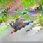 Eva Nurina profile icon