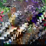 Putri Handayani profile icon