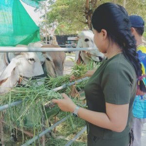 Lalitphan Pimdee profile icon