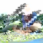 dian safitri profile icon