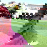 Sifa Nurfitriani profile icon