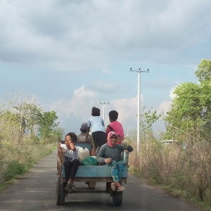 Bundo ZEA profile icon