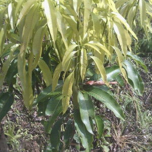 วดี profile icon