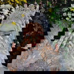 Veny Fadilla profile icon