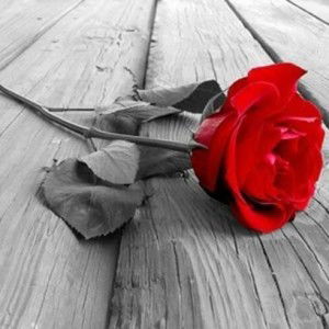 Yus Raini profile icon