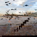 AumAuy Kanitta profile icon