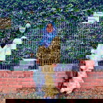 Balqis Jamil profile icon