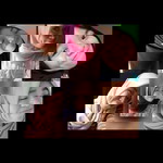 Yanti MuchuMuchu profile icon