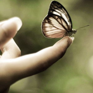 Ani Haryanti profile icon