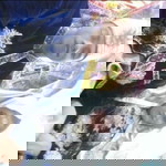 Mella Faria profile icon