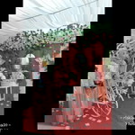 Riski Amaliya profile icon