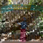 Yuliyanti profile icon