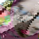RithaSinta DedenDinata profile icon