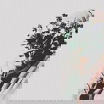 Sani Ros Tianisa profile icon