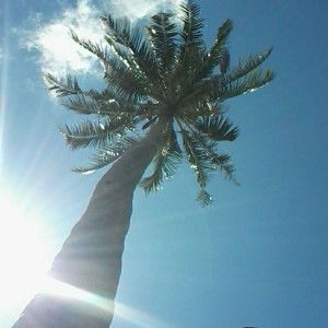 Umma Husna profile icon