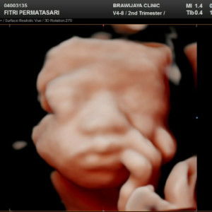 fitriper. profile icon