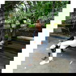 Riia Riia profile icon