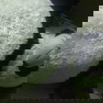 Bundachynkdeni Deni profile icon