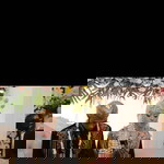 Farizha profile icon