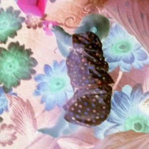 Anindira profile icon